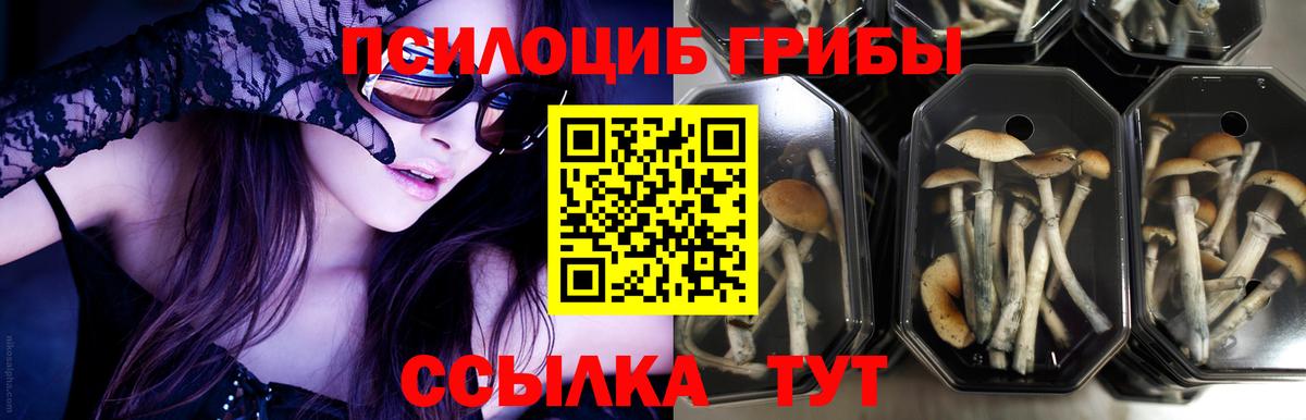 MDMA  Вход с VPN  Кудымкар  Каннабис  Меф МЯУ МЯУ кристаллы  ТГК 