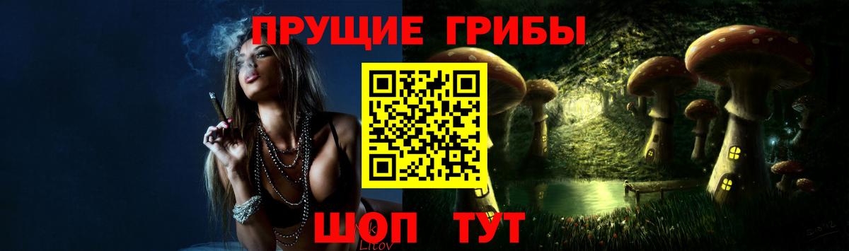 Псилоцибиновые грибы мицелий  Вход с VPN  Кудымкар 